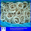 IQF SQUID RING